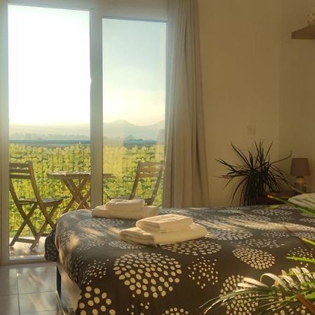 Thalassa Seaside Boutique Beach Apartment Polis Buitenkant foto