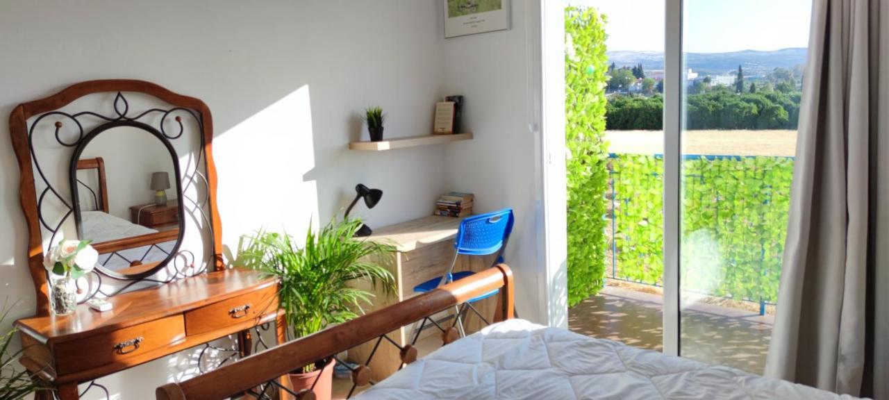 Thalassa Seaside Boutique Beach Apartment Polis Buitenkant foto