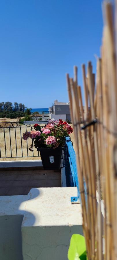 Thalassa Seaside Boutique Beach Apartment Polis Buitenkant foto
