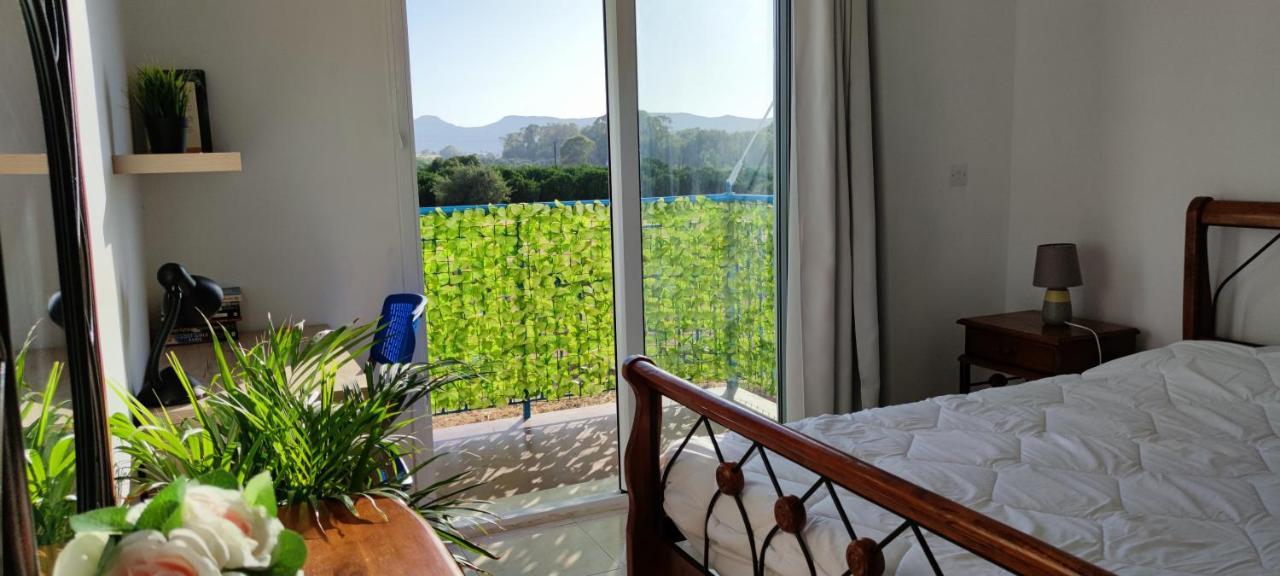 Thalassa Seaside Boutique Beach Apartment Polis Buitenkant foto