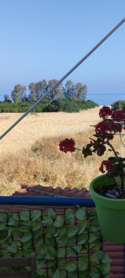 Thalassa Seaside Boutique Beach Apartment Polis Buitenkant foto
