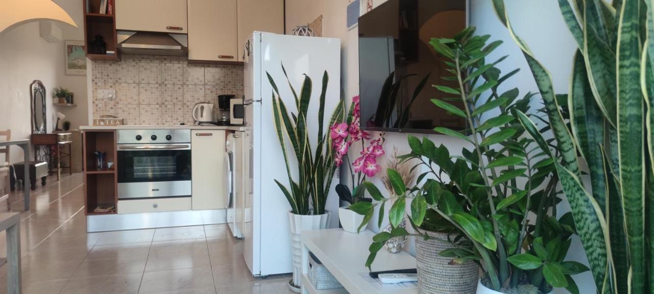Thalassa Seaside Boutique Beach Apartment Polis Buitenkant foto
