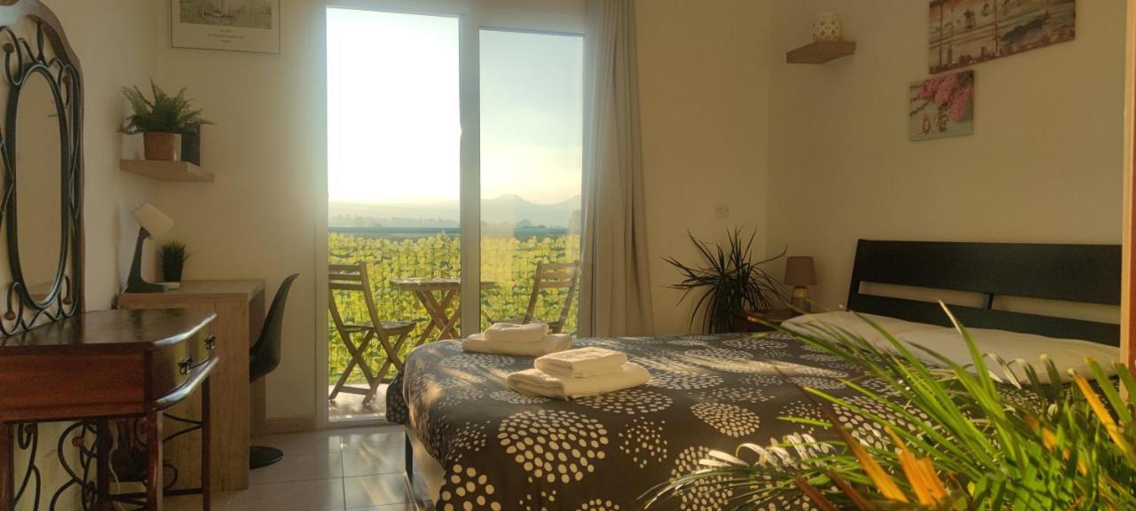 Thalassa Seaside Boutique Beach Apartment Polis Buitenkant foto