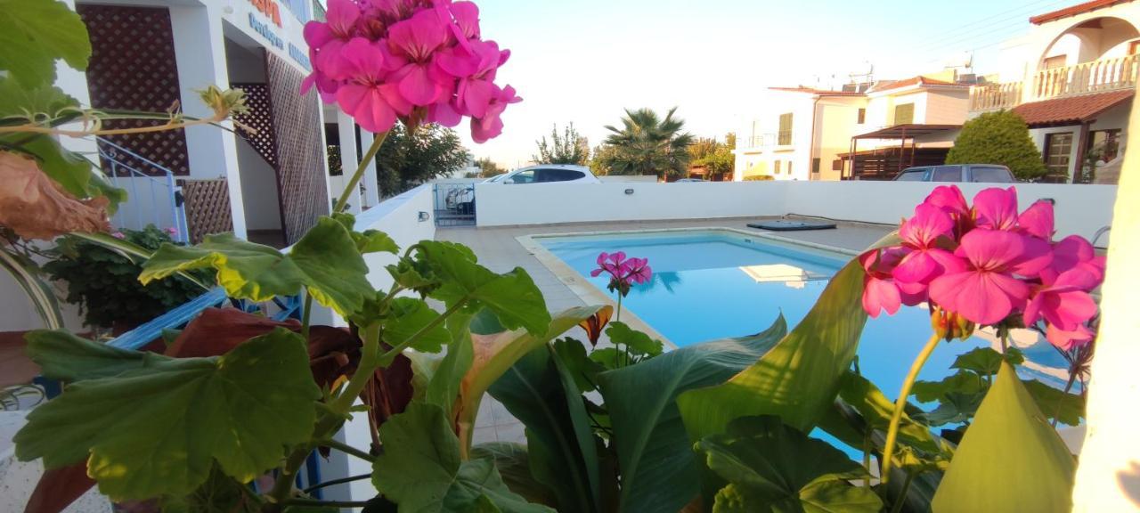 Thalassa Seaside Boutique Beach Apartment Polis Buitenkant foto